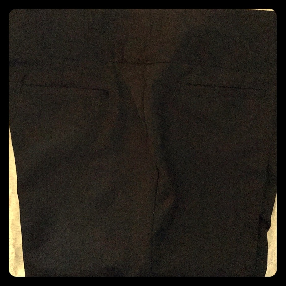 Dress Pants